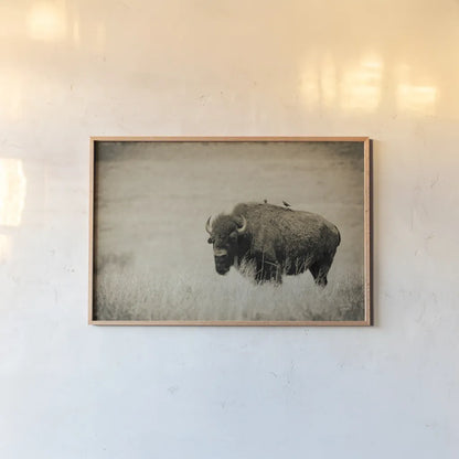 Tall Grass Bird Perch by Nathan Larson. shown as a paper print in a natural frame. Available as a archival giclee rolled canvas, fine art paper, or poster print. SKU 88237i.