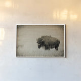 Tall Grass Bird Perch by Nathan Larson. shown as a paper print in a white frame. Available as a archival giclee rolled canvas, fine art paper, or poster print. SKU 88237i.