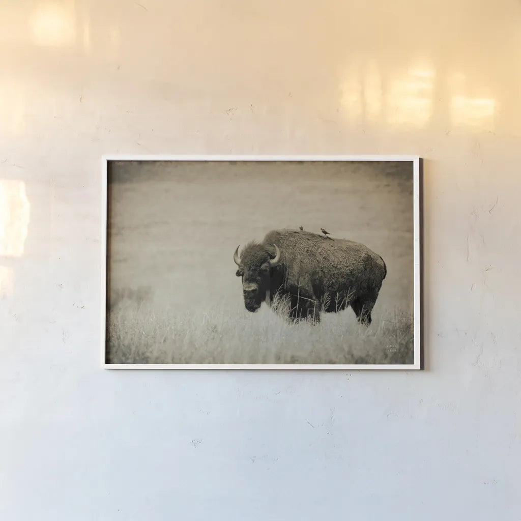 Tall Grass Bird Perch by Nathan Larson. shown as a paper print in a white frame. Available as a archival giclee rolled canvas, fine art paper, or poster print. SKU 88237i.