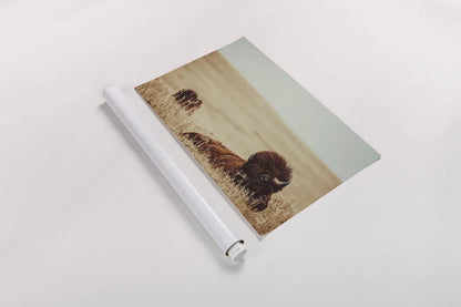 Tall Grass Bison by Nathan Larson. shown as a rolled paper print. Available as archival giclee rolled canvas, fine art paper, or poster print. SKU 87640i.