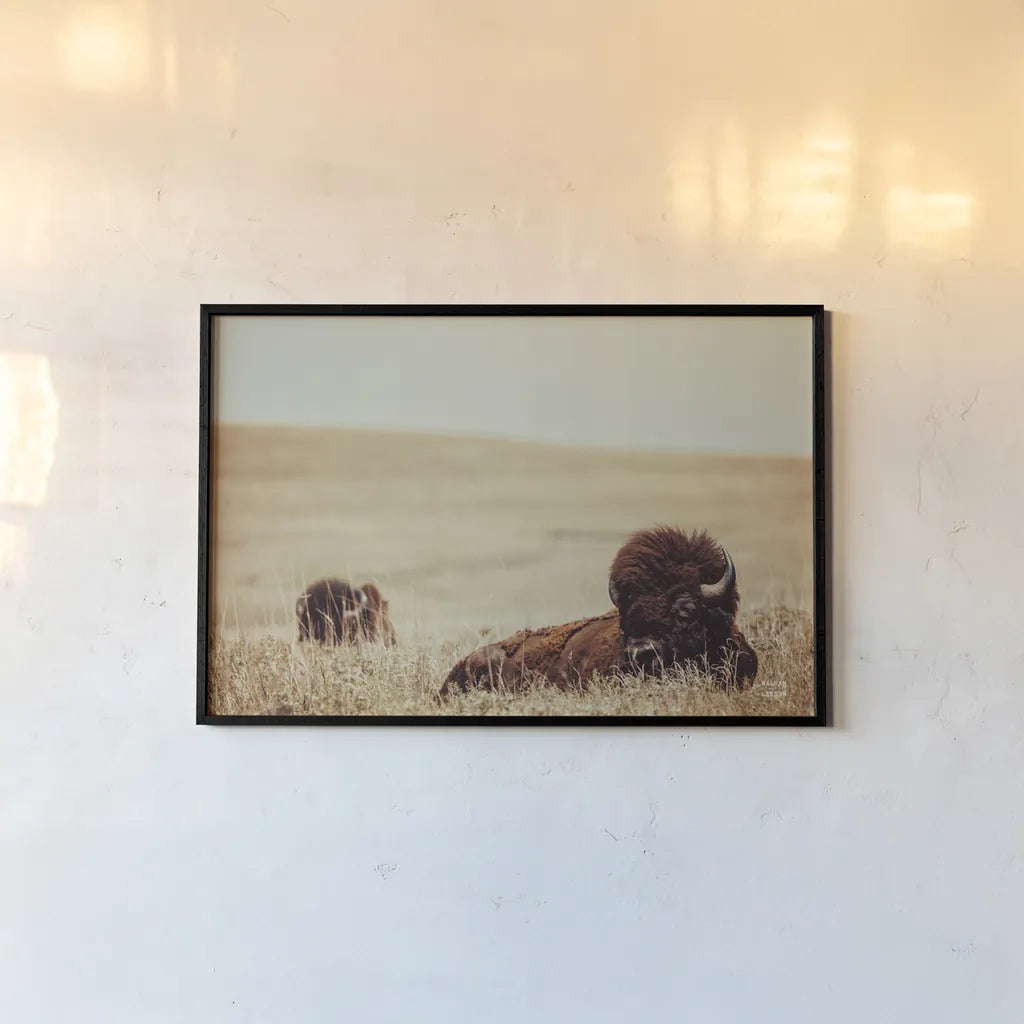 Tall Grass Bison by Nathan Larson. shown as a paper print in a black flame. Available as a archival giclee rolled canvas, fine art paper, or poster print. SKU 87640i.
