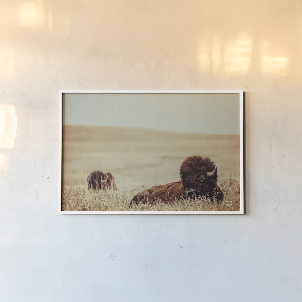 Tall Grass Bison by Nathan Larson. shown as a paper print in a white frame. Available as a archival giclee rolled canvas, fine art paper, or poster print. SKU 87640i.