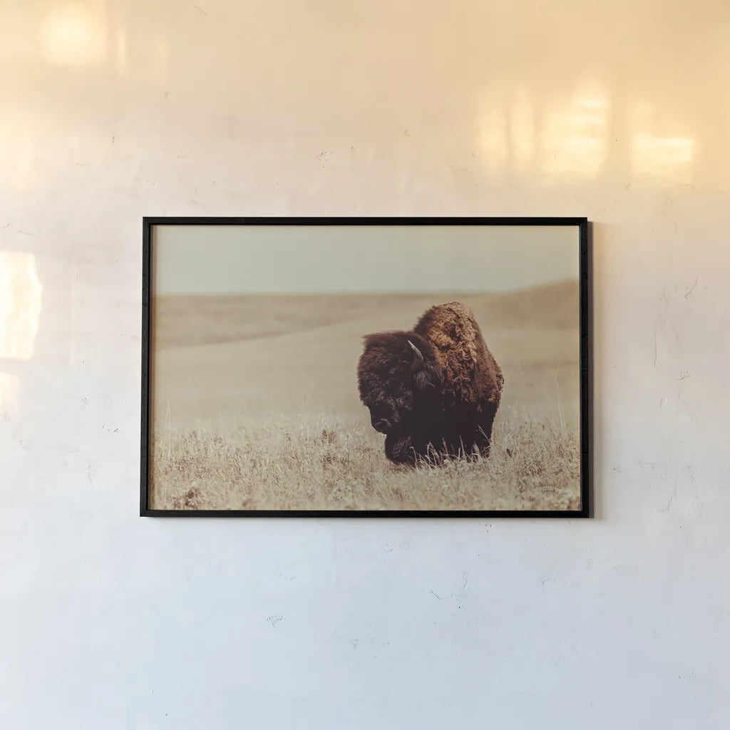 Tall Grass Bison I by Nathan Larson. shown as a paper print in a black flame. Available as a archival giclee rolled canvas, fine art paper, or poster print. SKU 86065i.