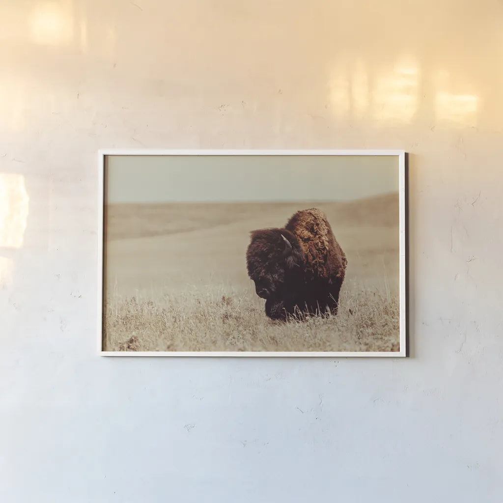 Tall Grass Bison I by Nathan Larson. shown as a paper print in a white frame. Available as a archival giclee rolled canvas, fine art paper, or poster print. SKU 86065i.