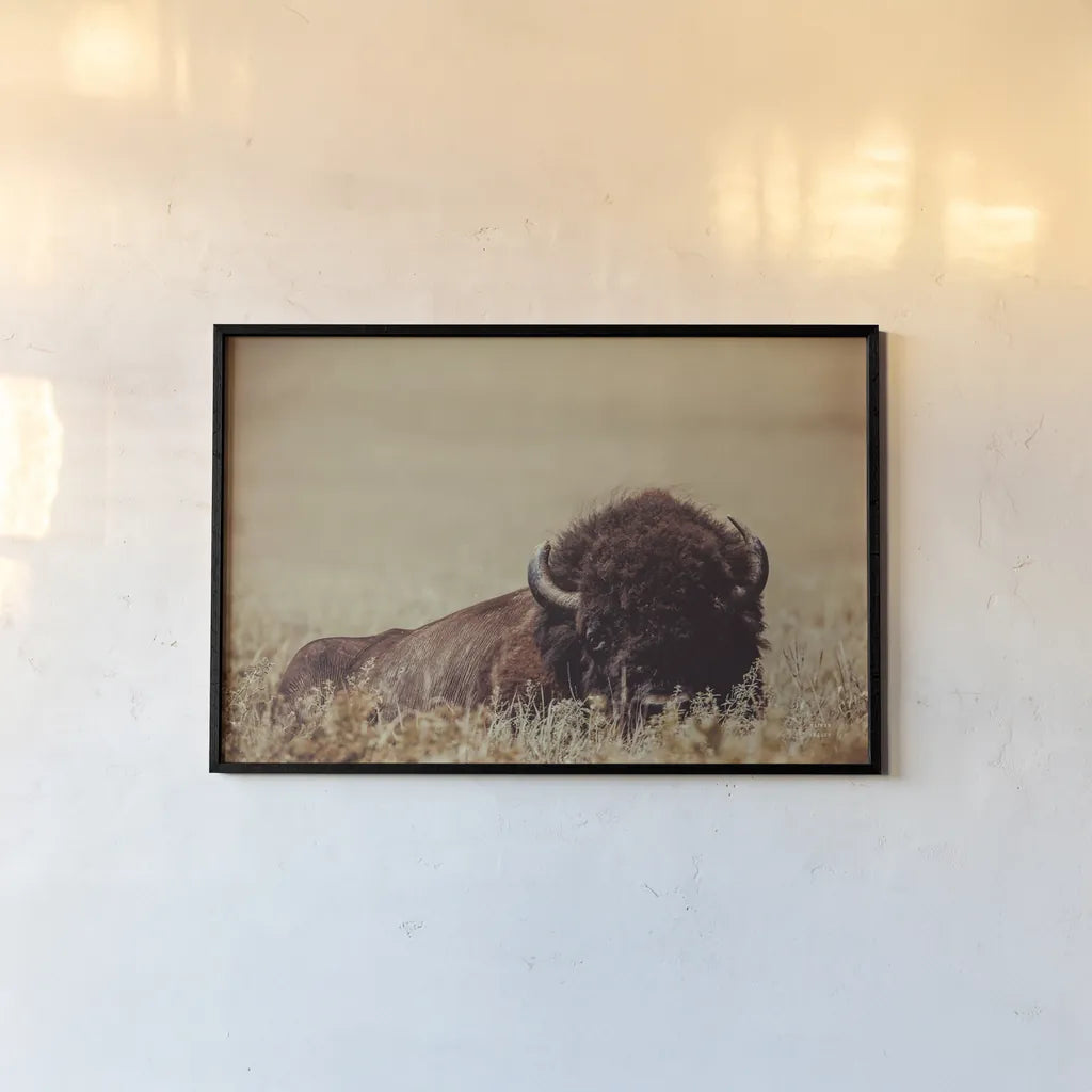 Tall Grass Bison II by Nathan Larson. shown as a paper print in a black flame. Available as a archival giclee rolled canvas, fine art paper, or poster print. SKU 86066i.