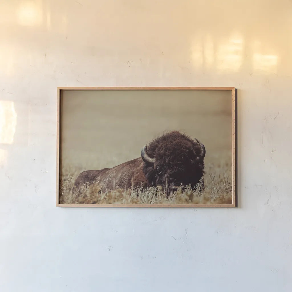 Tall Grass Bison II by Nathan Larson. shown as a paper print in a natural frame. Available as a archival giclee rolled canvas, fine art paper, or poster print. SKU 86066i.