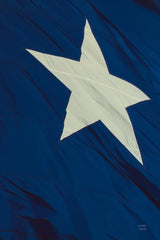 Texas Flag I by Nathan Larson. SKU 104027h. Archival Giclee Fine art print for wall decor.