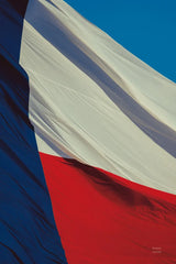 Texas Flag II by Nathan Larson. SKU 104028h. Archival Giclee Fine art print for wall decor.