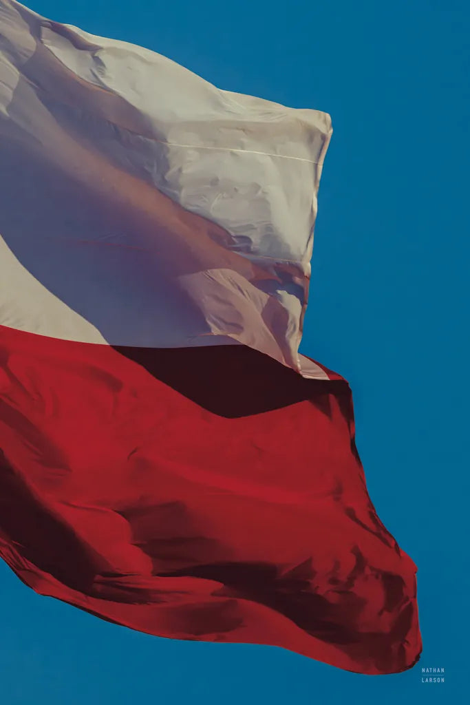 Texas Flag III by Nathan Larson. SKU 104029h. Archival Giclee Fine art print for wall decor.