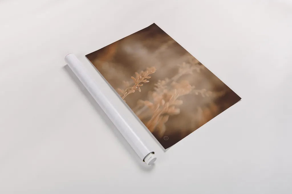 Texas Wild by Nathan Larson. shown as a rolled paper print. Available as archival giclee rolled canvas, fine art paper, or poster print. SKU 71621i.