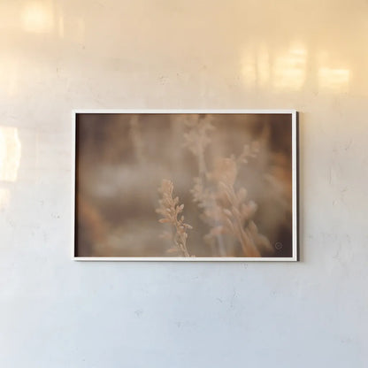 Texas Wild by Nathan Larson. shown as a paper print in a white frame. Available as a archival giclee rolled canvas, fine art paper, or poster print. SKU 71621i.
