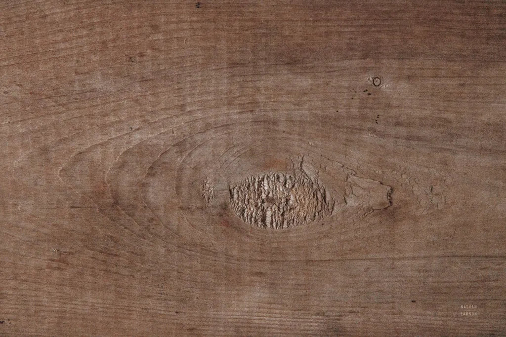 Textural II by Nathan Larson. SKU 85842i. Archival Giclee Fine art print for wall decor.