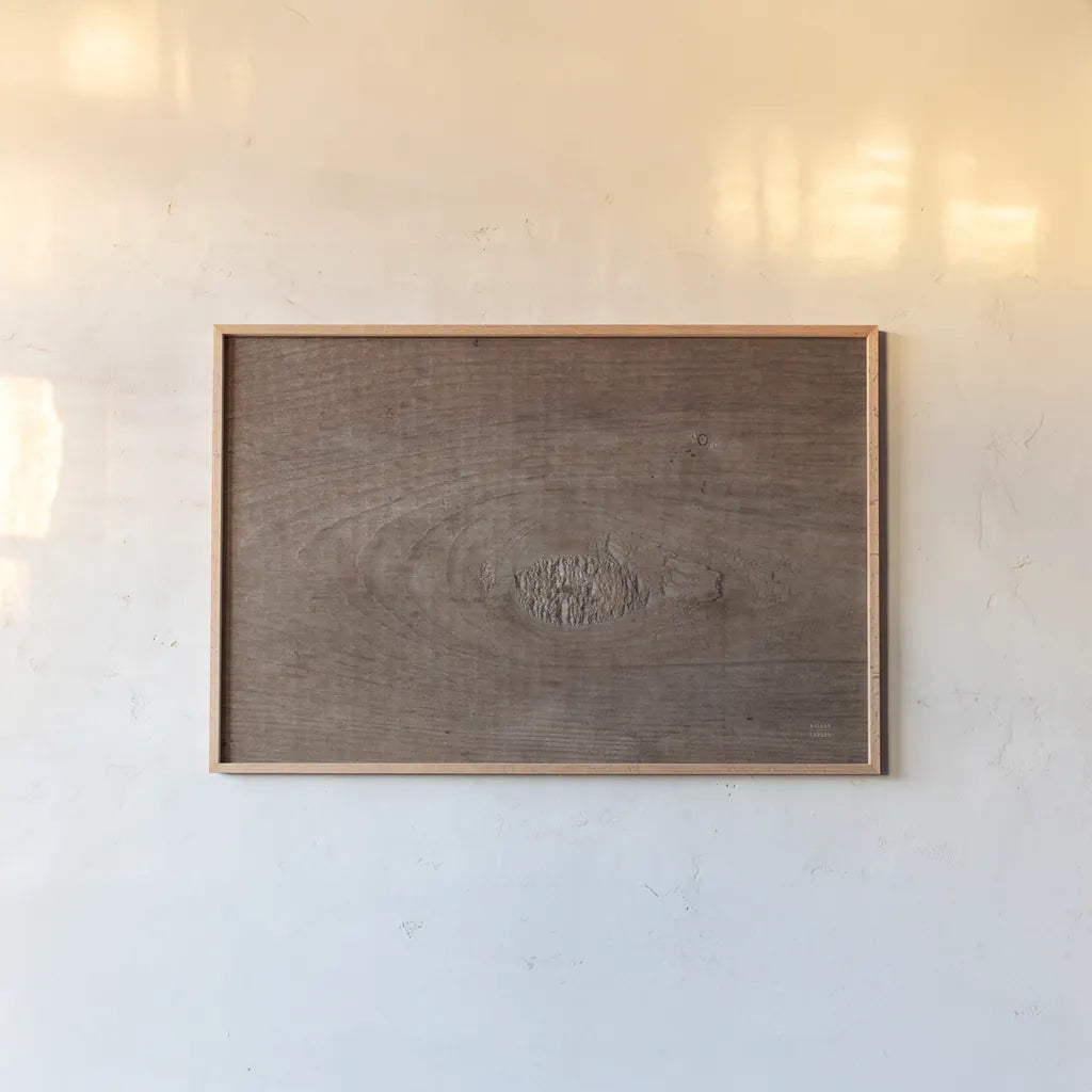 Textural II by Nathan Larson. shown as a paper print in a natural frame. Available as a archival giclee rolled canvas, fine art paper, or poster print. SKU 85842i.