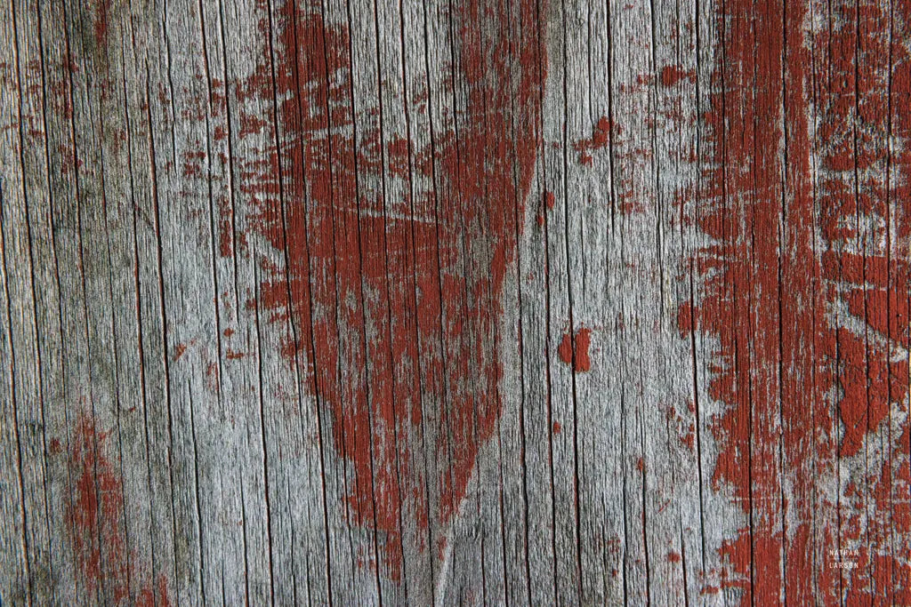 Textural VI by Nathan Larson. SKU 85846i. Archival Giclee Fine art print for wall decor.