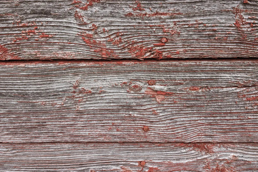 Textural VII by Nathan Larson. SKU 85847i. Archival Giclee Fine art print for wall decor.