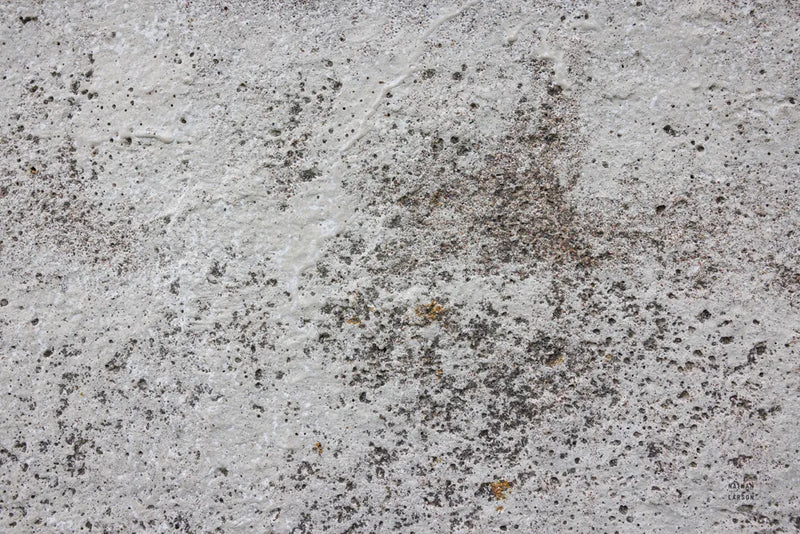 Textural VIII by Nathan Larson. SKU 85848i. Archival Giclee Fine art print for wall decor.
