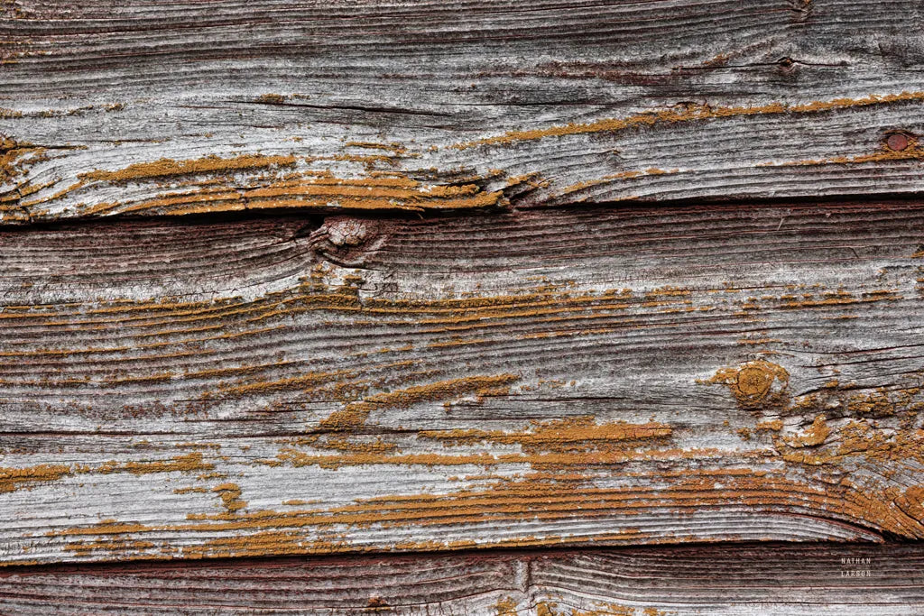 Textural XI by Nathan Larson. SKU 85851i. Archival Giclee Fine art print for wall decor.