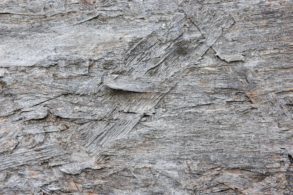 Textural XV by Nathan Larson. SKU 85855i. Archival Giclee Fine art print for wall decor.