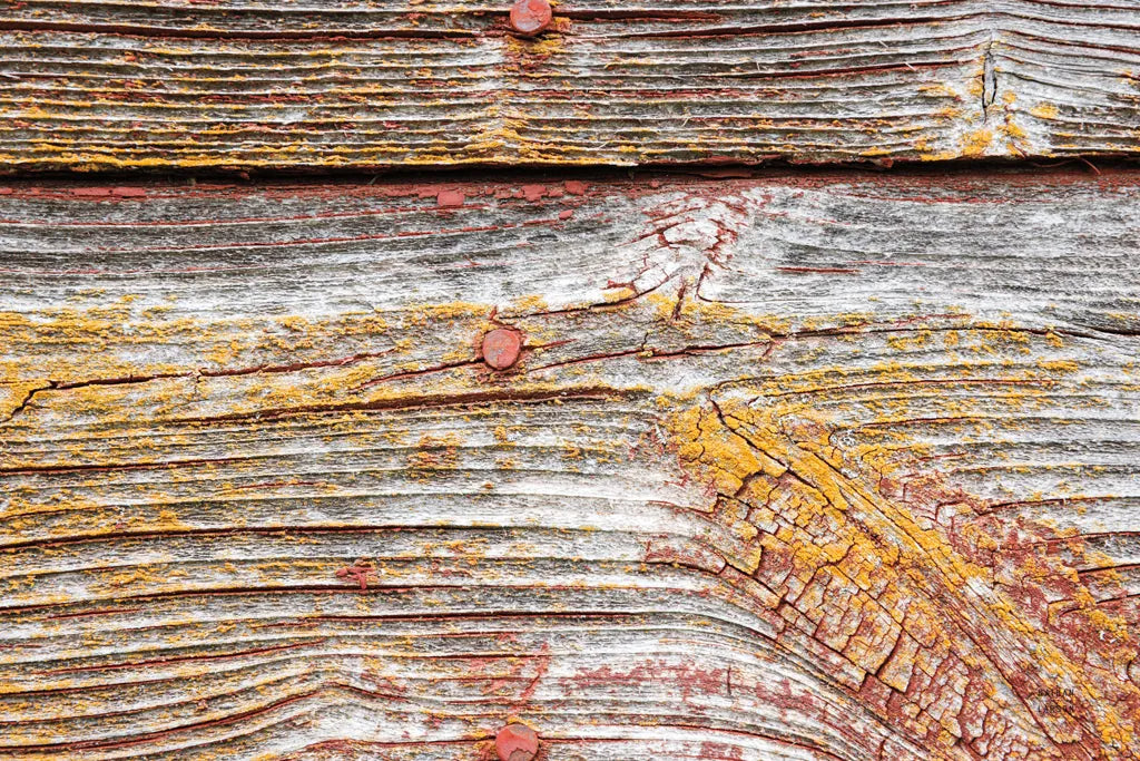 Textural XVI by Nathan Larson. SKU 85856i. Archival Giclee Fine art print for wall decor.