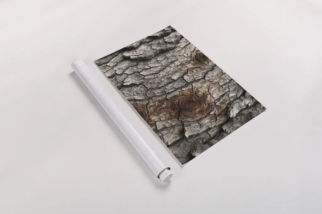 Textural XVIII by Nathan Larson. shown as a rolled paper print. Available as archival giclee rolled canvas, fine art paper, or poster print. SKU 85866i.