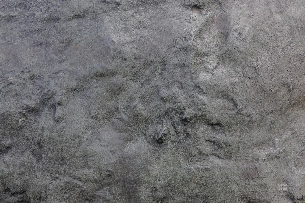 Textural XXI by Nathan Larson. SKU 85869i. Archival Giclee Fine art print for wall decor.