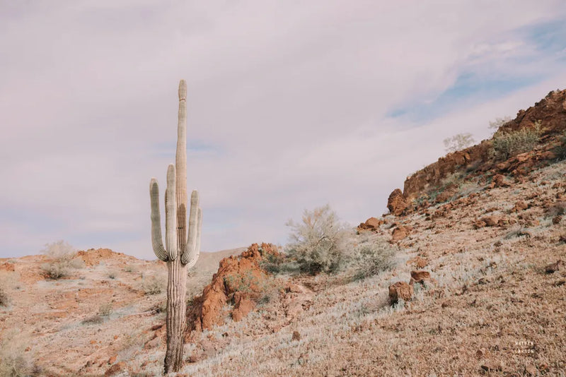 The Climb by Nathan Larson. SKU 90435i. Archival Giclee Fine art print for wall decor.