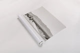 The Sun and All by Nathan Larson. shown as a rolled paper print. Available as archival giclee rolled canvas, fine art paper, or poster print. SKU 82726i.