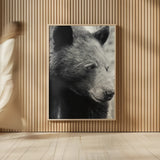 Thoughtful Bear BW by Nathan Larson. shown as over sized large wall art. Available as an archival giclee rolled canvas, fine art paper, or poster print. SKU 100758h.