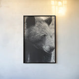 Thoughtful Bear BW by Nathan Larson. shown as a paper print in a black flame. Available as a archival giclee rolled canvas, fine art paper, or poster print. SKU 100758h.