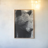 Thoughtful Bear BW by Nathan Larson. shown as a paper print in a natural frame. Available as a archival giclee rolled canvas, fine art paper, or poster print. SKU 100758h.