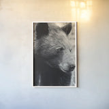Thoughtful Bear BW by Nathan Larson. shown as a paper print in a white frame. Available as a archival giclee rolled canvas, fine art paper, or poster print. SKU 100758h.