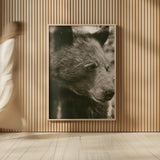 Thoughtful Bear Sepia by Nathan Larson. shown as over sized large wall art. Available as an archival giclee rolled canvas, fine art paper, or poster print. SKU 100759h.