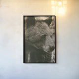 Thoughtful Bear Sepia by Nathan Larson. shown as a paper print in a black flame. Available as a archival giclee rolled canvas, fine art paper, or poster print. SKU 100759h.
