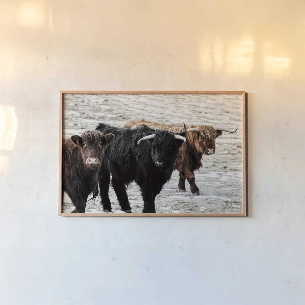 Three Amigos by Nathan Larson. shown as a paper print in a natural frame. Available as a archival giclee rolled canvas, fine art paper, or poster print. SKU 83501i.