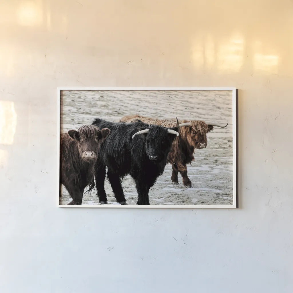 Three Amigos by Nathan Larson. shown as a paper print in a white frame. Available as a archival giclee rolled canvas, fine art paper, or poster print. SKU 83501i.