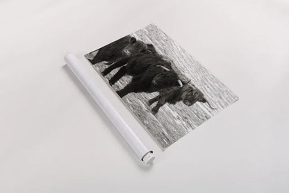 Three Amigos BW by Nathan Larson. shown as a rolled paper print. Available as archival giclee rolled canvas, fine art paper, or poster print. SKU 83502i.