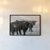 Three Amigos BW by Nathan Larson. shown as a paper print in a black flame. Available as a archival giclee rolled canvas, fine art paper, or poster print. SKU 83502i.