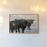 Three Amigos BW by Nathan Larson. shown as a paper print in a natural frame. Available as a archival giclee rolled canvas, fine art paper, or poster print. SKU 83502i.