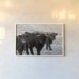 Three Amigos BW by Nathan Larson. shown as a paper print in a white frame. Available as a archival giclee rolled canvas, fine art paper, or poster print. SKU 83502i.