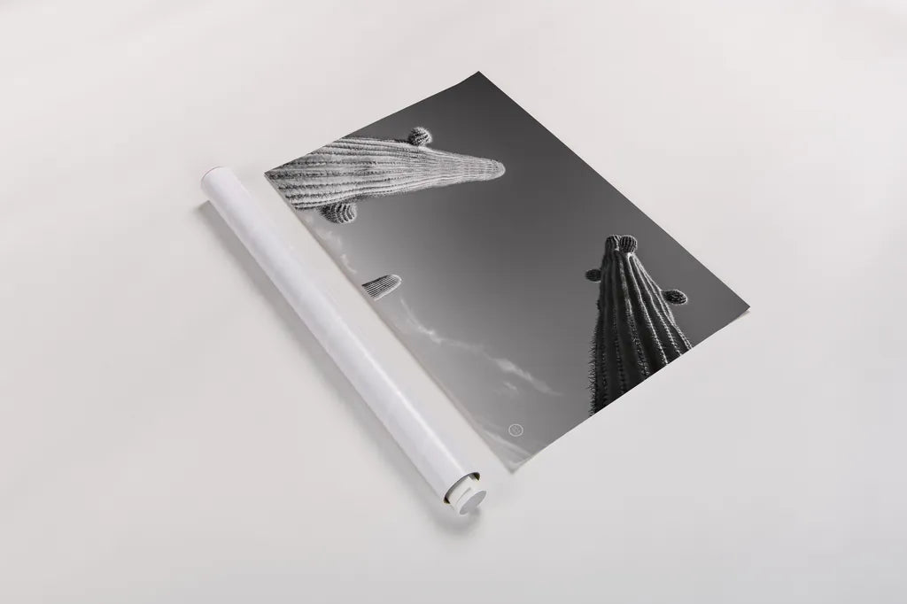 Three Kings by Nathan Larson. shown as a rolled paper print. Available as archival giclee rolled canvas, fine art paper, or poster print. SKU 73713i.