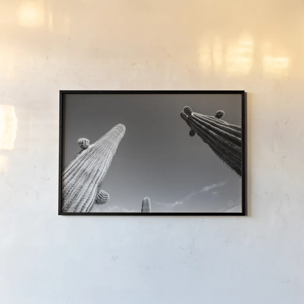 Three Kings by Nathan Larson. shown as a paper print in a black flame. Available as a archival giclee rolled canvas, fine art paper, or poster print. SKU 73713i.