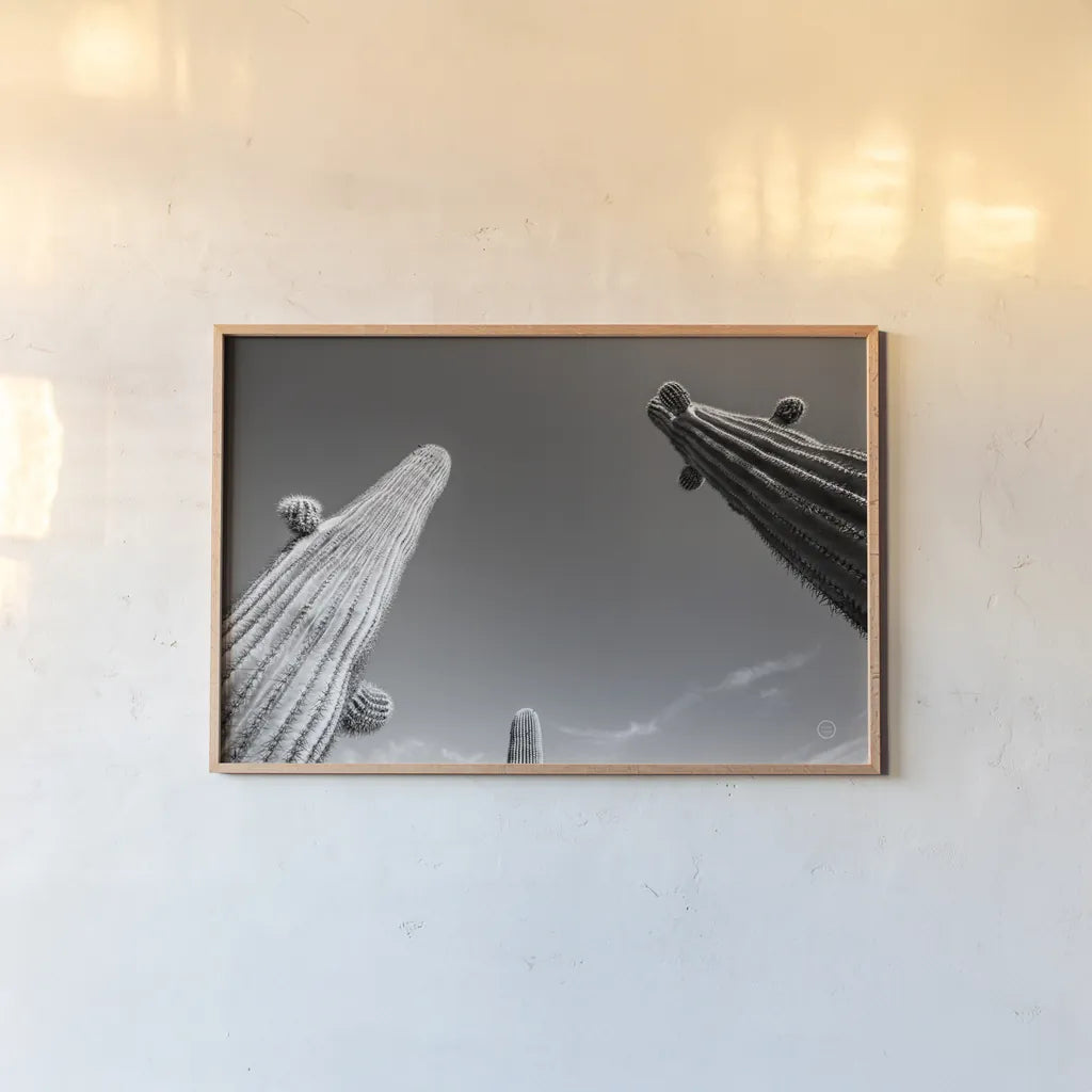 Three Kings by Nathan Larson. shown as a paper print in a natural frame. Available as a archival giclee rolled canvas, fine art paper, or poster print. SKU 73713i.