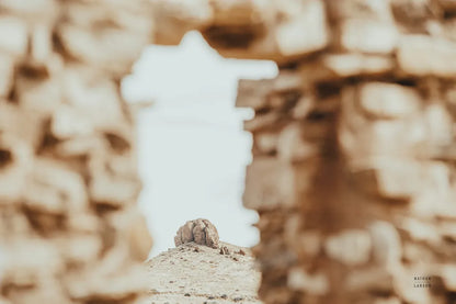 Through Ruins by Nathan Larson. SKU 81817i. Archival Giclee Fine art print for wall decor.