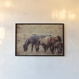 Together by Nathan Larson. shown as a paper print in a black flame. Available as a archival giclee rolled canvas, fine art paper, or poster print. SKU 98709i.