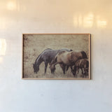 Together by Nathan Larson. shown as a paper print in a natural frame. Available as a archival giclee rolled canvas, fine art paper, or poster print. SKU 98709i.
