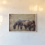 Together by Nathan Larson. shown as a paper print in a white frame. Available as a archival giclee rolled canvas, fine art paper, or poster print. SKU 98709i.
