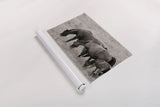 Together by Nathan Larson. shown as a rolled paper print. Available as archival giclee rolled canvas, fine art paper, or poster print. SKU 98710i.