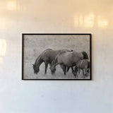 Together by Nathan Larson. shown as a paper print in a black flame. Available as a archival giclee rolled canvas, fine art paper, or poster print. SKU 98710i.