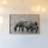 Together by Nathan Larson. shown as a paper print in a natural frame. Available as a archival giclee rolled canvas, fine art paper, or poster print. SKU 98710i.