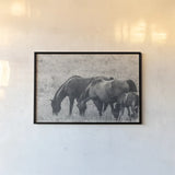 Together BW by Nathan Larson. shown as a paper print in a black flame. Available as a archival giclee rolled canvas, fine art paper, or poster print. SKU 98711i.